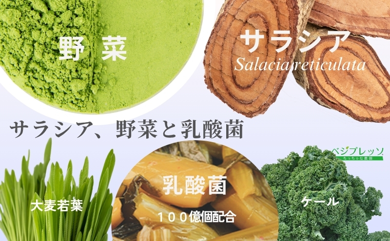 【無添加青汁】サラシア青汁（5g×30包） 無添加青汁 サラシア デキストリンフリー青汁 デキストリン無添加青汁 粉末青汁 ヘルシー青汁 健康青汁 野菜青汁 植物性青汁 駒ヶ根市