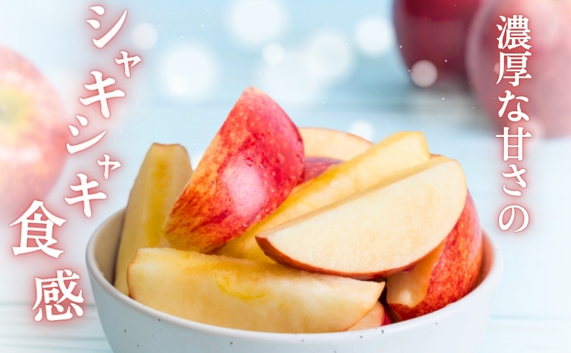 りんご 長野 贈答用 リンゴ シナノスイート 約3kg （12玉） 産地直送 ギフト プレゼント 贈答 贈答品 贈り物 フルーツ 果物 デザート 林檎 秋 旬 信州 長野県 長野県産