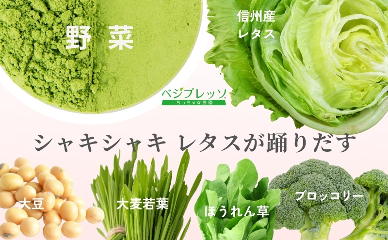 【定期便】【保存料無添加青汁】のむレタス青汁（3g×30包）3か月連続お届け　 無添加青汁　デキストリンフリー青汁　デキストリン無添加青汁　粉末青汁　ヘルシー青汁　健康青汁　野菜青汁　植物性青汁　ハラル青汁　ハラール青汁　野菜摂取　駒ヶ根市