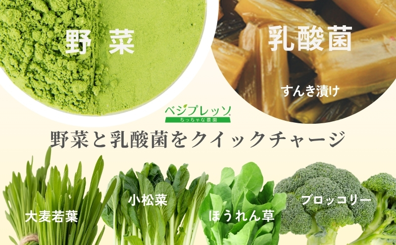 【無添加青汁】乳酸菌青汁400（3g×30包）3個セット 野菜不足