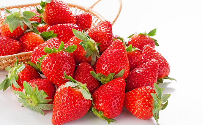 南信州産「いちご」 (300g×8パック)　【伊那森パーク】