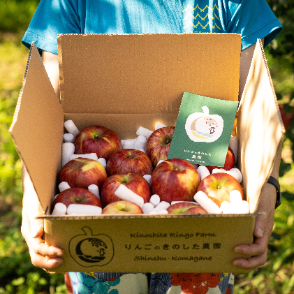 りんご 長野 スマートフレッシュ サンつがる 5kg たっぷり楽しめる 葉とらず 産地直送 フルーツ 果物 デザート おやつ リンゴ 林檎 さんつがる 秋 旬 スムージー ジャム 信州 長野県 長野県産 2026 2026年