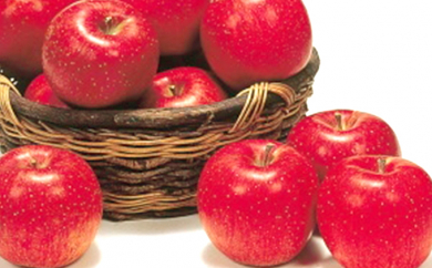 2026年産 りんご 長野 特選 贈答用 シナノスイート 10kg （28～36玉） 産地直送 ギフト プレゼント 贈答 贈答品 贈り物 フルーツ 果物 デザート おやつ リンゴ 林檎 秋 旬 信州 南信州産 長野県 長野県産 2026 2026年