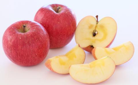 2026年産 りんご 長野 特選 贈答用 サンふじ 10kg （24～36玉） 産地直送 ギフト プレゼント 贈答 贈答品 贈り物 フルーツ 果物 デザート おやつ サンフジ 林檎 秋 旬 旬の果物 信州 長野県 長野県産