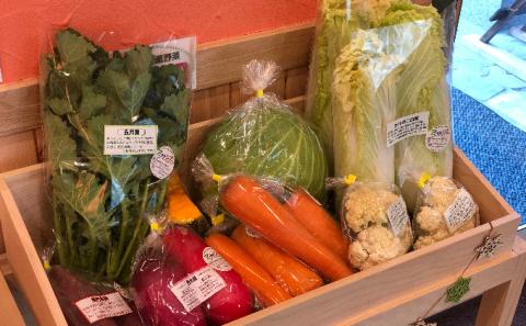 季節の有機野菜「詰合せセット」（10種）