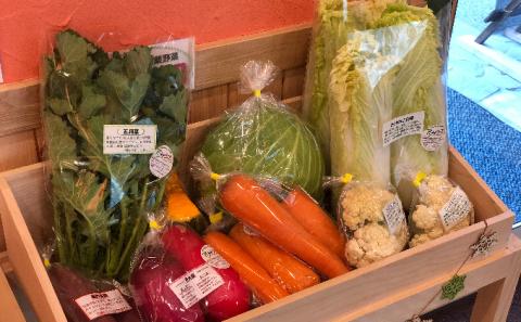 【定期便】季節の有機野菜「詰合せセット」（10種×3回）