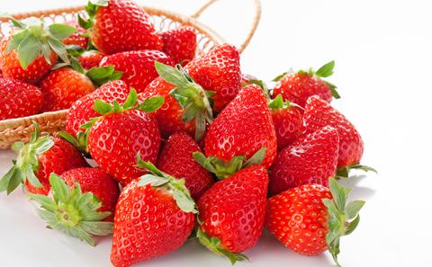 南信州産「いちご」（260g×4パック）【アクアロマン】果物類苺イチゴ