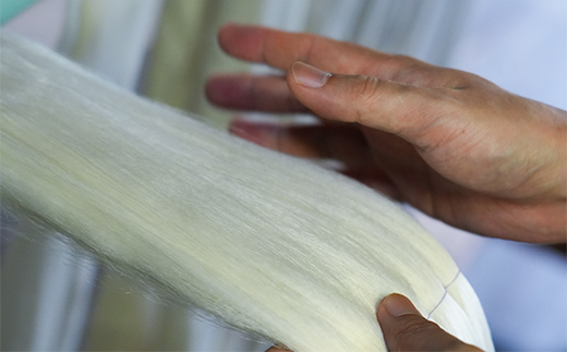 「伝統的工芸品」伊那紬（がま口）