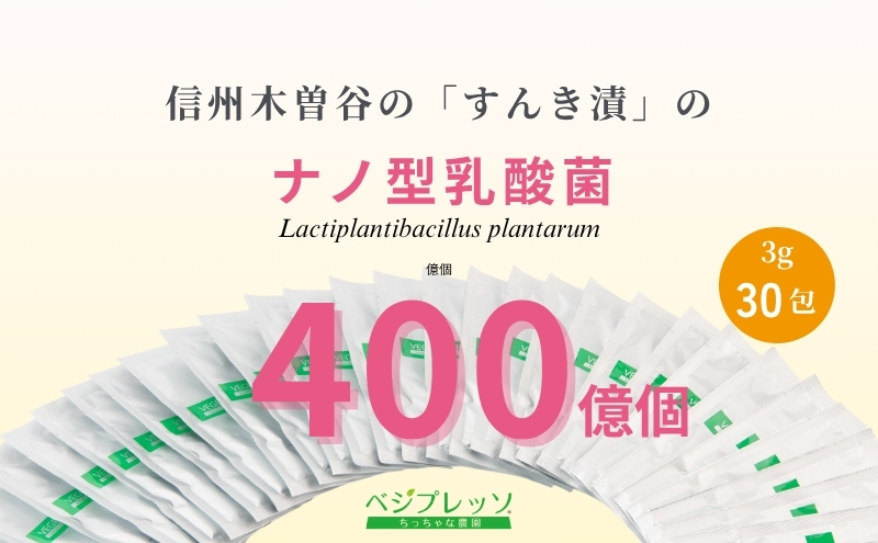【無添加青汁】乳酸菌青汁400（3g×30包）2個セット 野菜不足 食物繊維 自然素材 添加物不使用 植物性乳酸菌 国産 大麦若葉 ブロッコリー 小松菜 ほうれん草 植物繊維 駒ヶ根市
