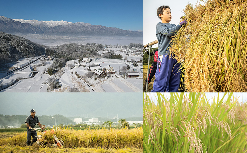 国産バスマティ「サリカ米」（5kg）