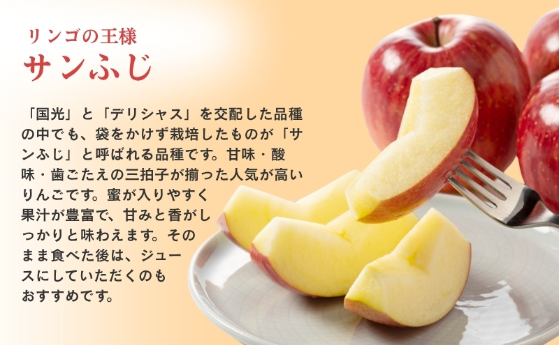 今期ラスト1点！長野県産サンふじ甘い赤いりんご！秀品レベル赤玉産地直送ジューシー sanchokudayori_120002889