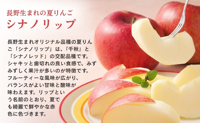 りんご 長野 贈答用 リンゴ シナノリップ 約3kg （12玉） 産地直送 ギフト プレゼント 贈答 贈答品 贈り物 フルーツ 果物 デザート おやつ 林檎 旬 信州 長野県 長野県産