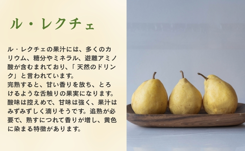 洋梨 長野 贈答用 ル・レクチェ 約5kg （12～18玉） 西洋なし 産地直送 ギフト プレゼント 贈答 贈答品 贈り物 蜜 フルーツ 果物 デザート おやつ 洋ナシ 秋 旬 長野県