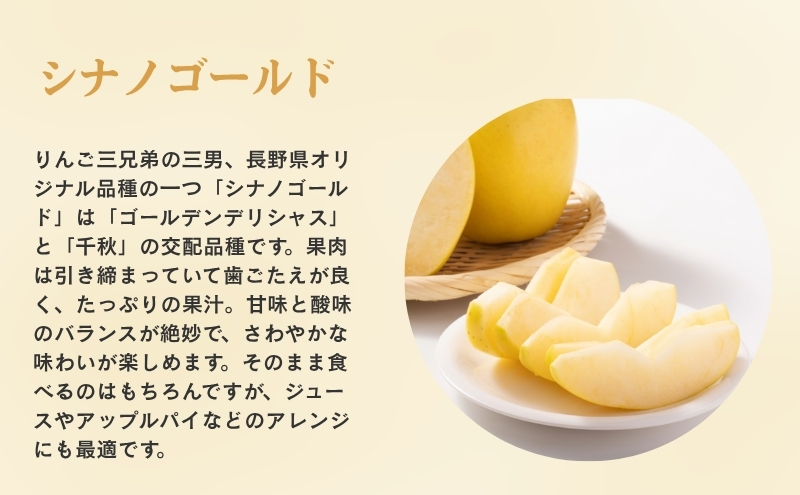 りんご 長野 贈答用 リンゴ シナノゴールド 約4.5kg（14玉～18玉） 産地直送 ギフト プレゼント 贈答 贈答品 贈り物 フルーツ 果物 デザート おやつ 秋 旬 信州 長野県