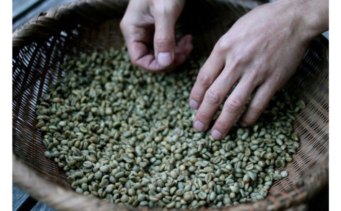 森のしずく 炭火焙煎珈琲 300g 飲料類 コーヒー 珈琲 コーヒー豆 珈琲豆