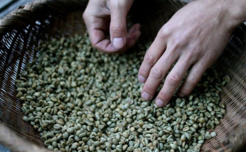 森のおと  炭火焙煎珈琲 300g 飲料類 コーヒー 珈琲 コーヒー豆 珈琲豆