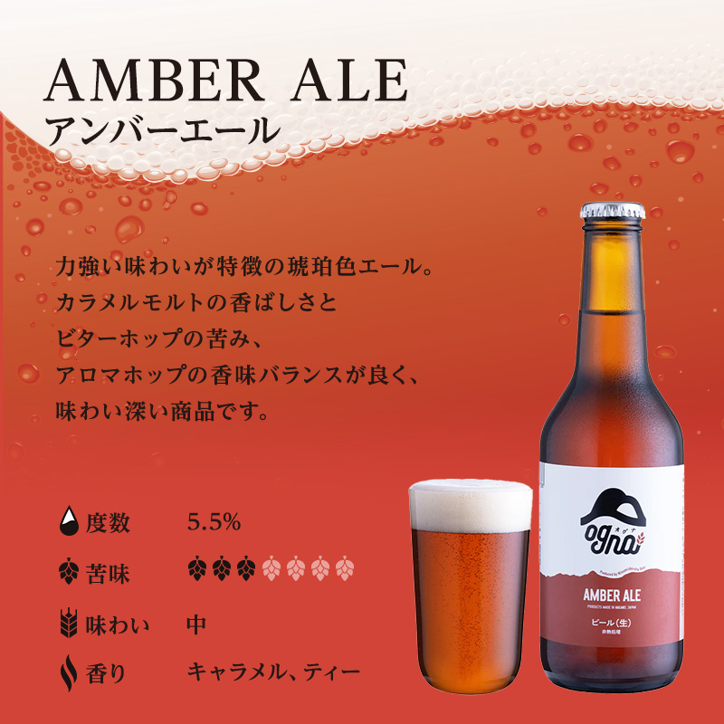 南信州ビールOgna「飲み比べセット」（3種6本）