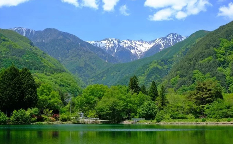 ごま油 8ヶ月連続お届け【国産ごま油】「sesame oil」～Premium Black～（50ml×2本）×8回 定期便 黒ごま油 油 調味料 長野県駒ケ根市産