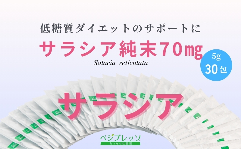 【保存料無添加青汁】サラシア青汁（5g×30包）2個セット 　無添加青汁　デキストリンフリー青汁　デキストリン無添加青汁　粉末青汁　ヘルシー青汁　健康青汁　野菜青汁　植物性青汁　ハラル青汁　ハラール青汁　野菜摂取　駒ヶ根市