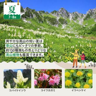 駒ヶ岳ロープウェイ券「大満足セット」（6名様分）