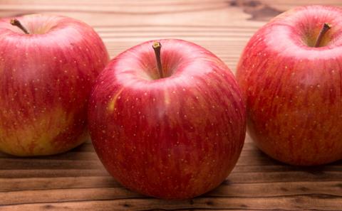 2026年産 りんご 長野 特選 贈答用 サンふじ 5kg （12～18玉） 産地直送 ギフト プレゼント 贈答 贈答品 贈り物 フルーツ 果物 デザート おやつ サンフジ 林檎 秋 旬 旬の果物 信州 長野県 長野県産