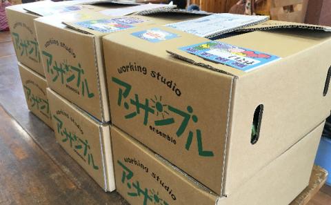 【定期便】季節の有機野菜「詰合せセット」（10種×3回）