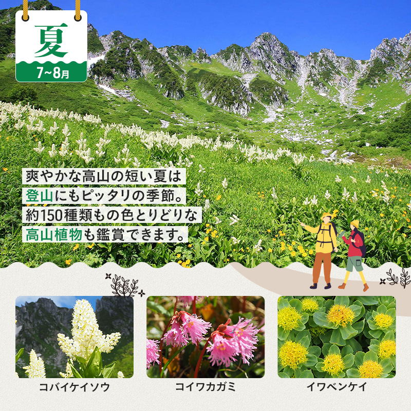 駒ヶ岳ロープウェイ「往復券」