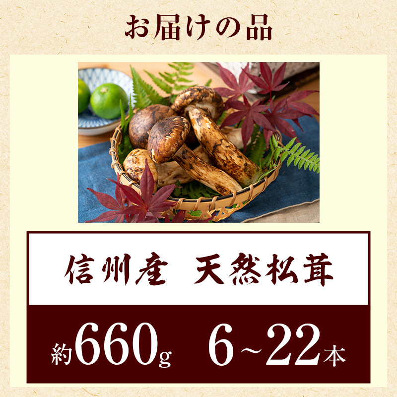 信州産「天然松茸」（約660g/6～22本）: 駒ヶ根市ANAのふるさと納税