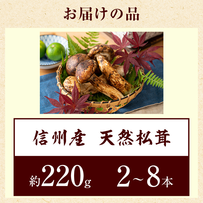 信州産「天然松茸」（約220g/2～8本）: 駒ヶ根市ANAのふるさと納税