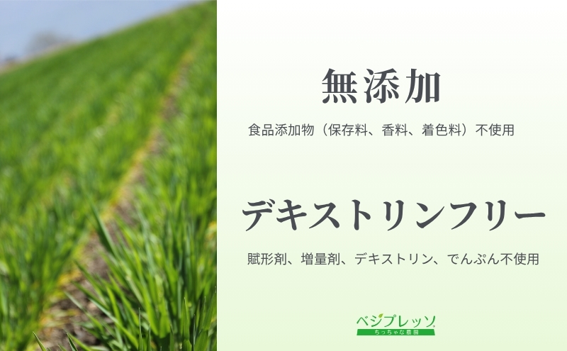 【無添加青汁】本格青汁（3g×30包） 無添加青汁 デキストリンフリー青汁 デキストリン無添加青汁 粉末青汁 ヘルシー青汁 健康青汁 野菜青汁 植物性青汁 駒ヶ根市