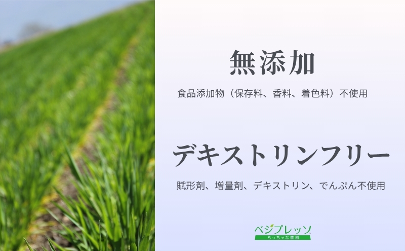 【定期便】【無添加青汁】サラシア青汁（5g×30包）3か月連続お届け 無添加青汁 デキストリンフリー青汁 デキストリン無添加青汁 粉末青汁 ヘルシー青汁 駒ヶ根市