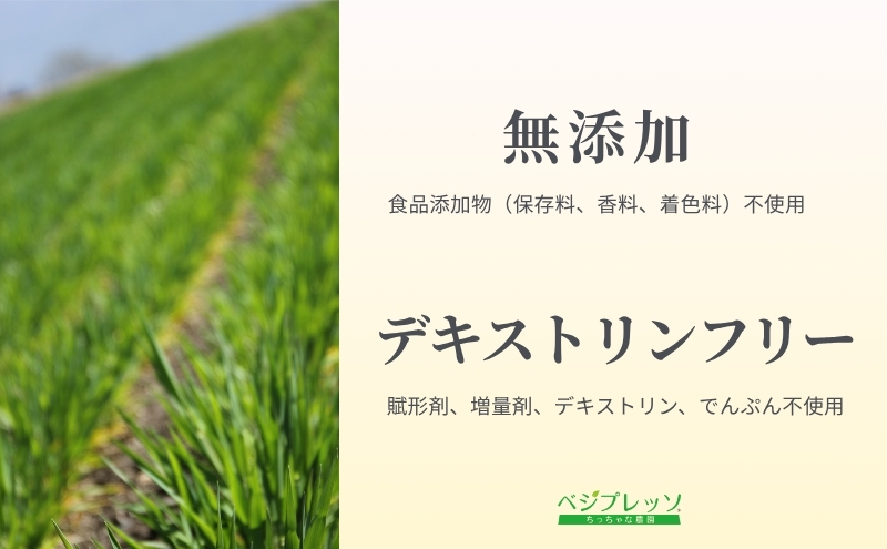 【無添加青汁】乳酸菌青汁400（3g×30包）2個セット 野菜不足 食物繊維 自然素材 添加物不使用 植物性乳酸菌 国産 大麦若葉 ブロッコリー 小松菜 ほうれん草 植物繊維 駒ヶ根市