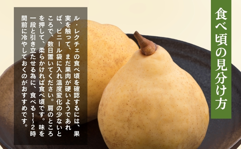 洋梨 長野 贈答用 ル・レクチェ 約5kg （12～18玉） 西洋なし 産地直送 ギフト プレゼント 贈答 贈答品 贈り物 蜜 フルーツ 果物 デザート おやつ 洋ナシ 秋 旬 長野県