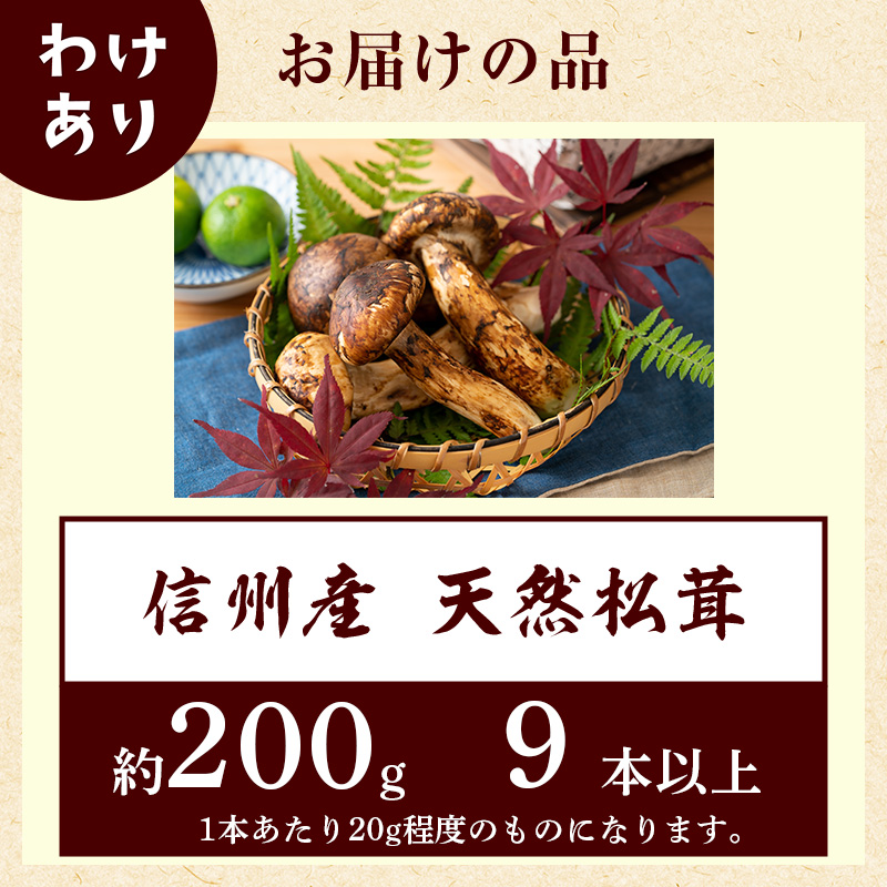 訳あり】数量限定/信州産「天然松茸」（約200g前後） : 駒ヶ根市ANAのふるさと納税