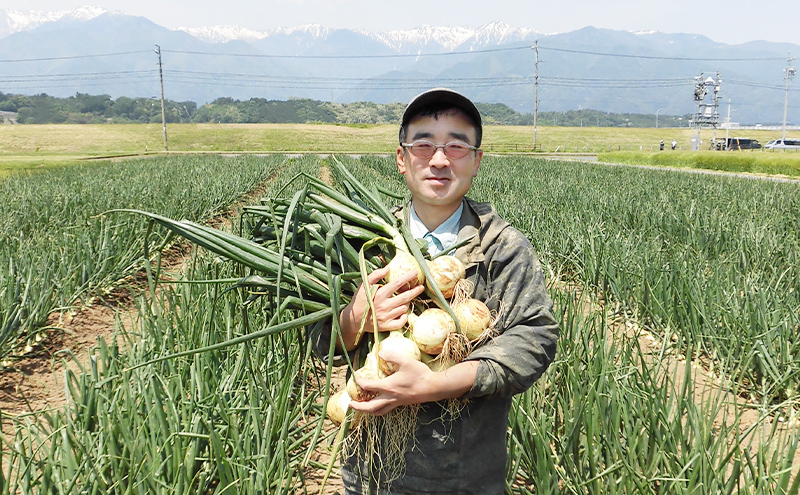 【数量限定/期間限定】信州駒ヶ根産有機たまねぎ「アルプスからの玉手箱」 （約6kg） アグリコオリジナル