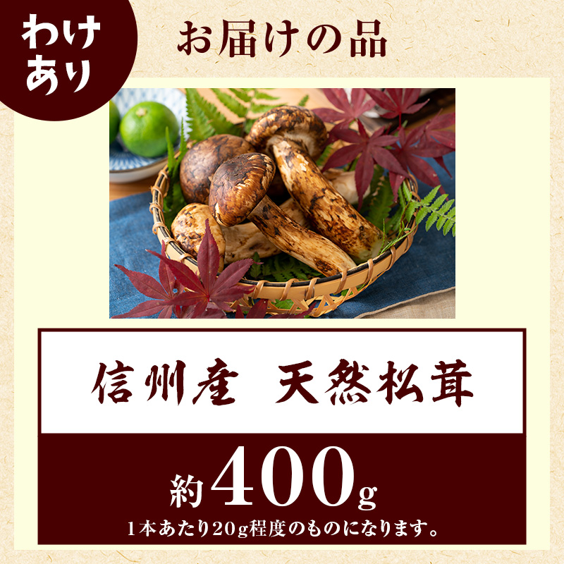 【訳あり】数量限定/信州産「天然松茸」（約400g前後）
