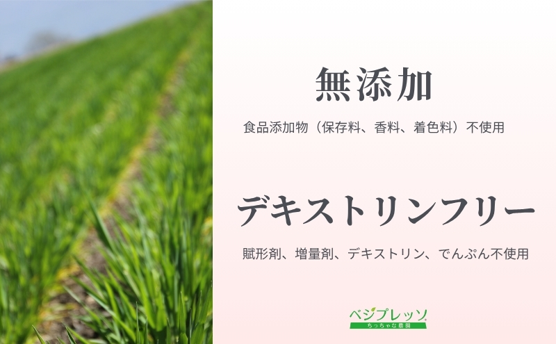 【定期便】【保存料無添加青汁】のむレタス青汁（3g×30包）3か月連続お届け　 無添加青汁　デキストリンフリー青汁　デキストリン無添加青汁　粉末青汁　ヘルシー青汁　健康青汁　野菜青汁　植物性青汁　ハラル青汁　ハラール青汁　野菜摂取　駒ヶ根市