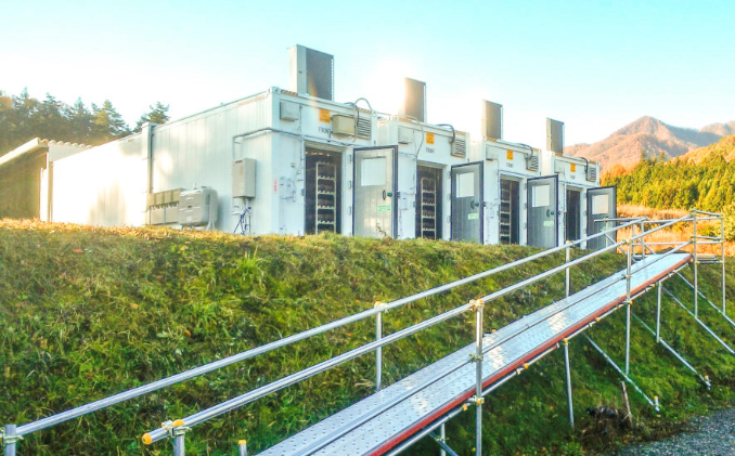 【アルプスの極】特大椎茸（約550g/8～10個入）