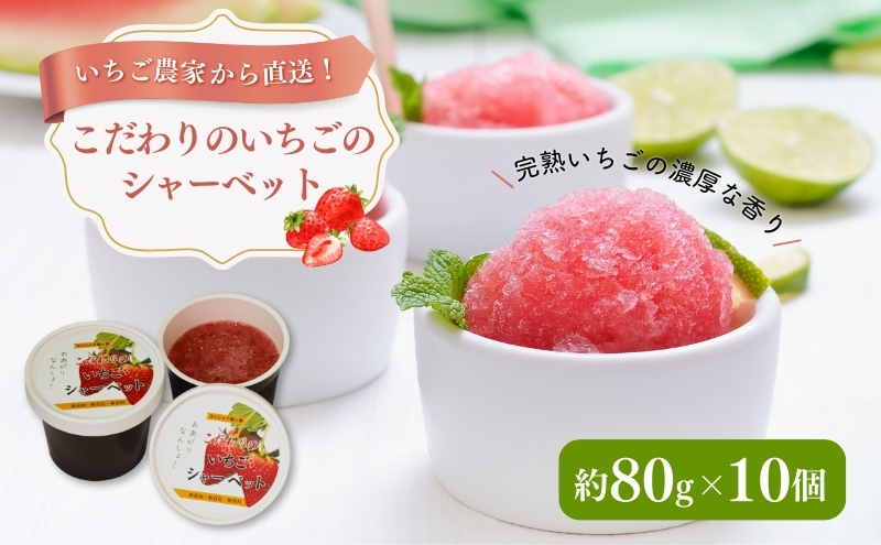 【いちご農家直送！】こだわりのいちごシャーベット（約80g×10）