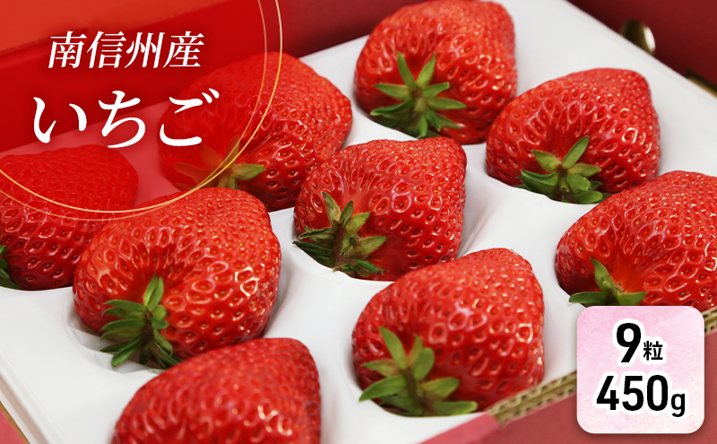 【特選贈答用】南信州産「いちご」（9粒・450g）【信州駒ヶ根いちご園】 果物類 苺 イチゴ