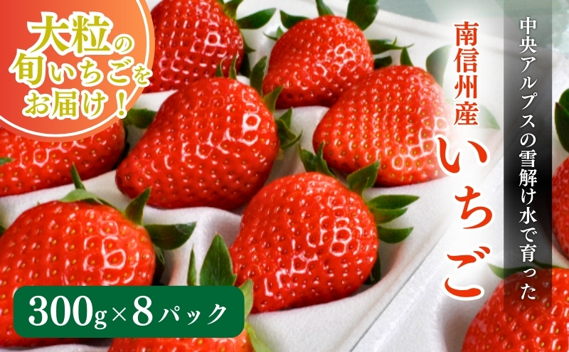 南信州産「いちご」 (300g×8パック)　【ヨッシャア駒ヶ根】