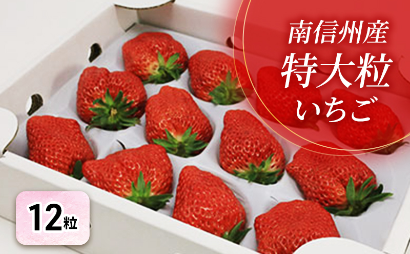 【特選贈答用】南信州産「特大粒いちご」（12粒入り）【信州駒ヶ根いちご園】 果物類 苺 イチゴ