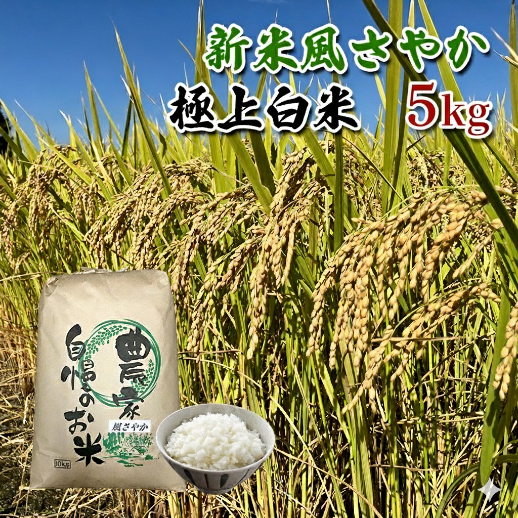 【農家直送】長野県産「風さやか」（5kg）【栄屋ファーム】 お米