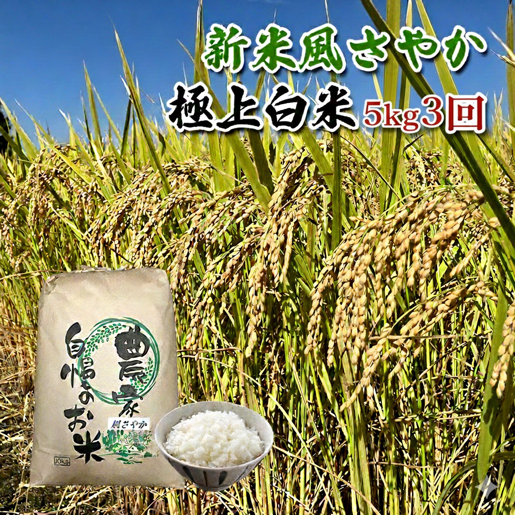 【定期便/農家直送】長野県産「風さやか」（5kg×3回）【栄屋ファーム】 お米 3ヶ月 計15kg