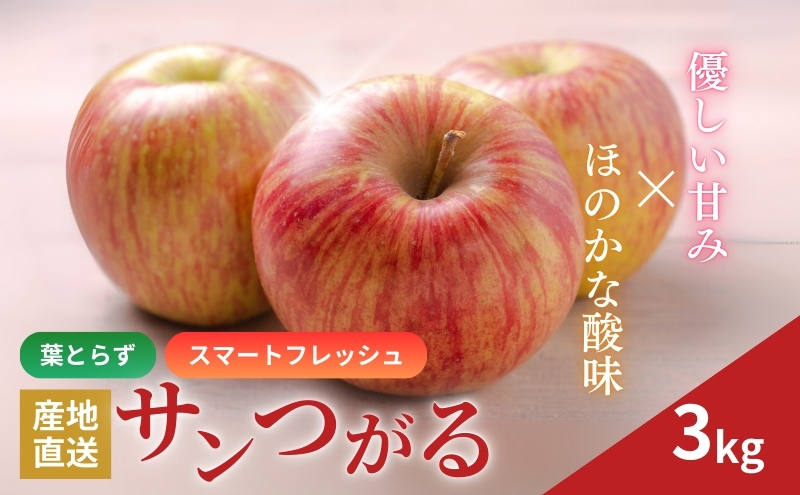 りんご 長野 スマートフレッシュ サンつがる 3kg 少人数家庭にぴったり 葉とらず 産地直送 フルーツ 果物 デザート おやつ リンゴ 林檎 さんつがる 秋 旬 スムージー ジャム 信州 長野県 長野県産 2026 2026年