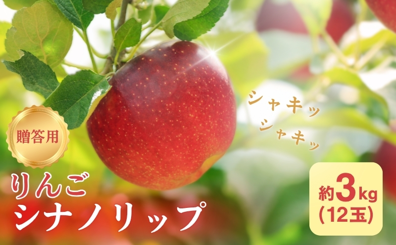 りんご 長野 贈答用 リンゴ シナノリップ 約3kg （12玉） 産地直送 ギフト プレゼント 贈答 贈答品 贈り物 フルーツ 果物 デザート おやつ 林檎 旬 信州 長野県 長野県産