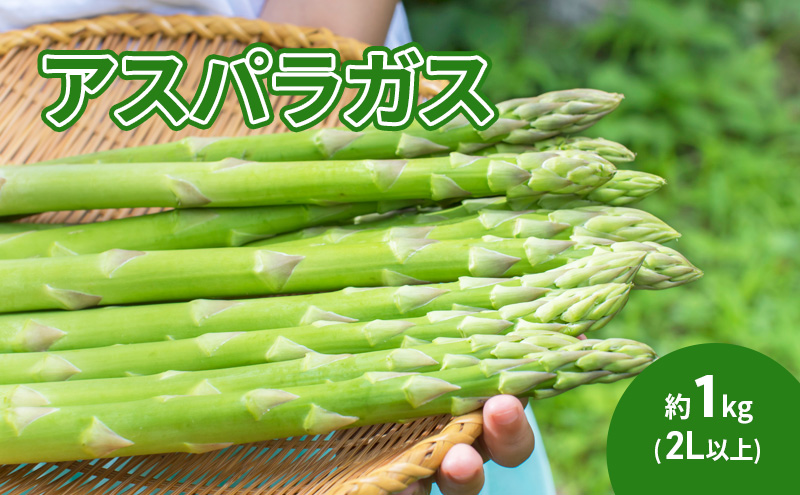 アスパラガス 約1kg（２L以上）