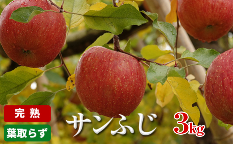 りんご 長野 完熟 サンふじ 3kg 葉取らず 産地直送 フルーツ 果物 デザート おやつ サンフジ リンゴ 林檎 秋 旬 冬 旬の果物 旬のフルーツ 信州 信州産 長野県 長野県産 2025 2025年