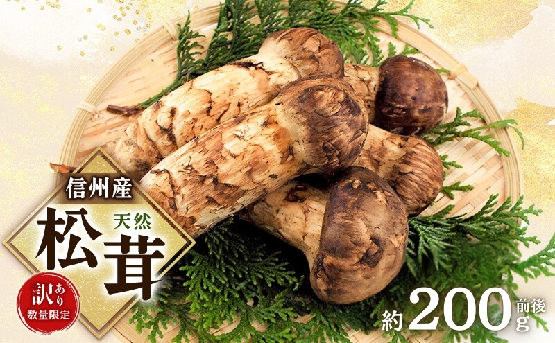 【訳あり】数量限定/信州産「天然松茸」（約200g前後）