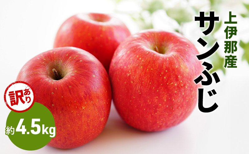 訳あり りんご サンふじ 4.5kg 果物 フルーツ 信州 長野 駒ヶ根市